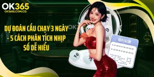 Dự Đoán Cầu Chạy 3 Ngày - 5 Cách Phân Tích Nhịp Số Dễ Hiểu